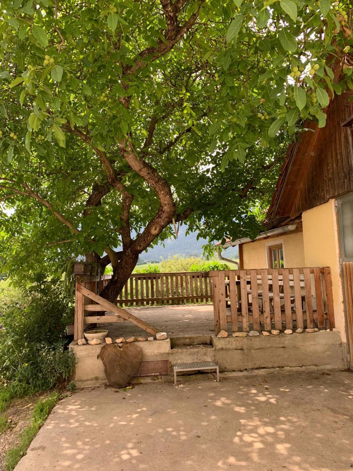 Biohof Goelly Villa Neumarkt in Steiermark Eksteriør billede