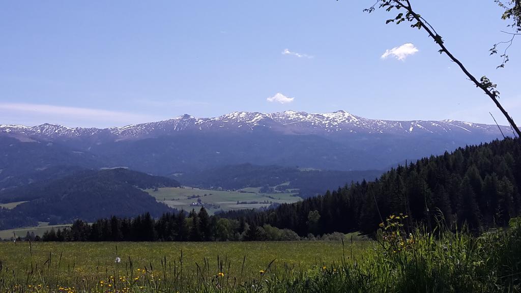 Biohof Goelly Villa Neumarkt in Steiermark Eksteriør billede